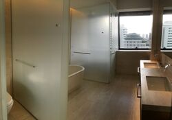 Hana (D10), Condominium #582981841